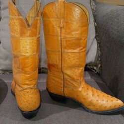 Ostrich Boots / Botas De Avestruz