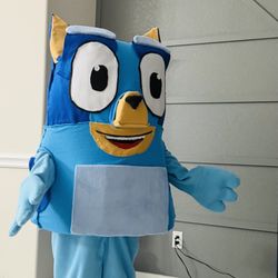 Bluey Character Mascot For Birthday 🎉 