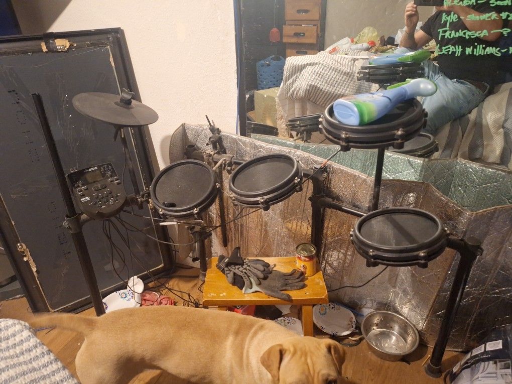 Alexis Electronic Drumset