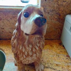 Croco Espanol Dog Beautiful Ceramic