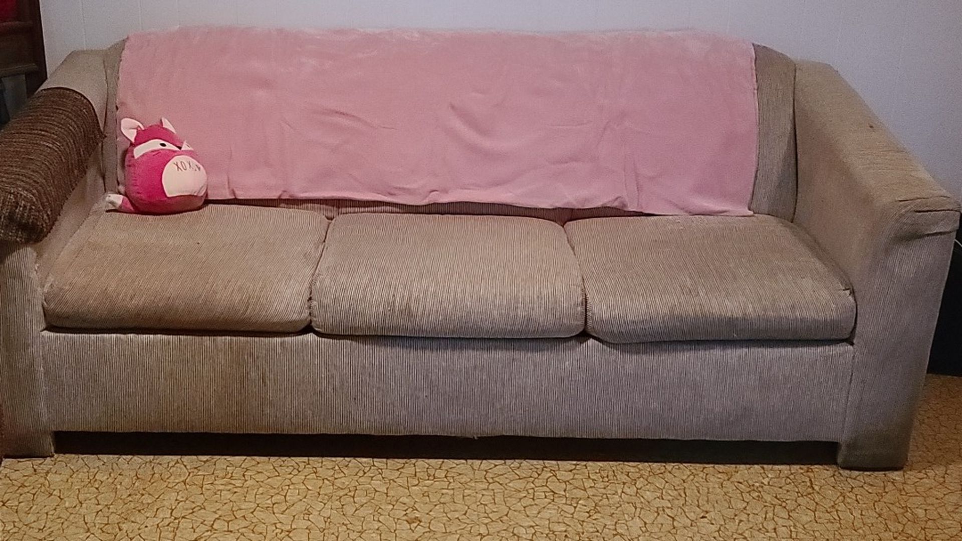 FREE Sleeper sofa