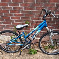 Shwinnwomens Bicycle 