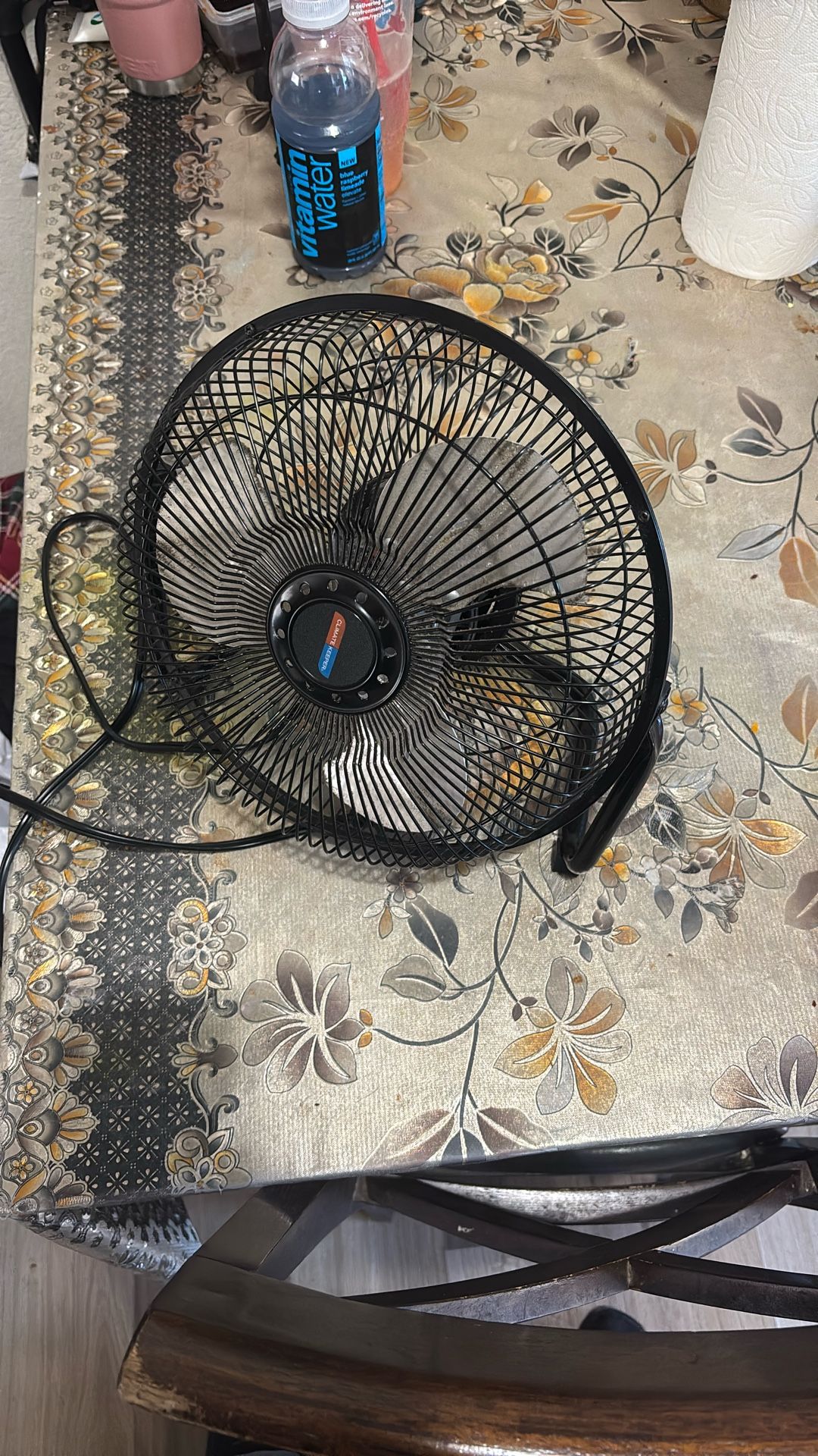 Fan