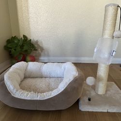 Cat Bed And Scratch Post