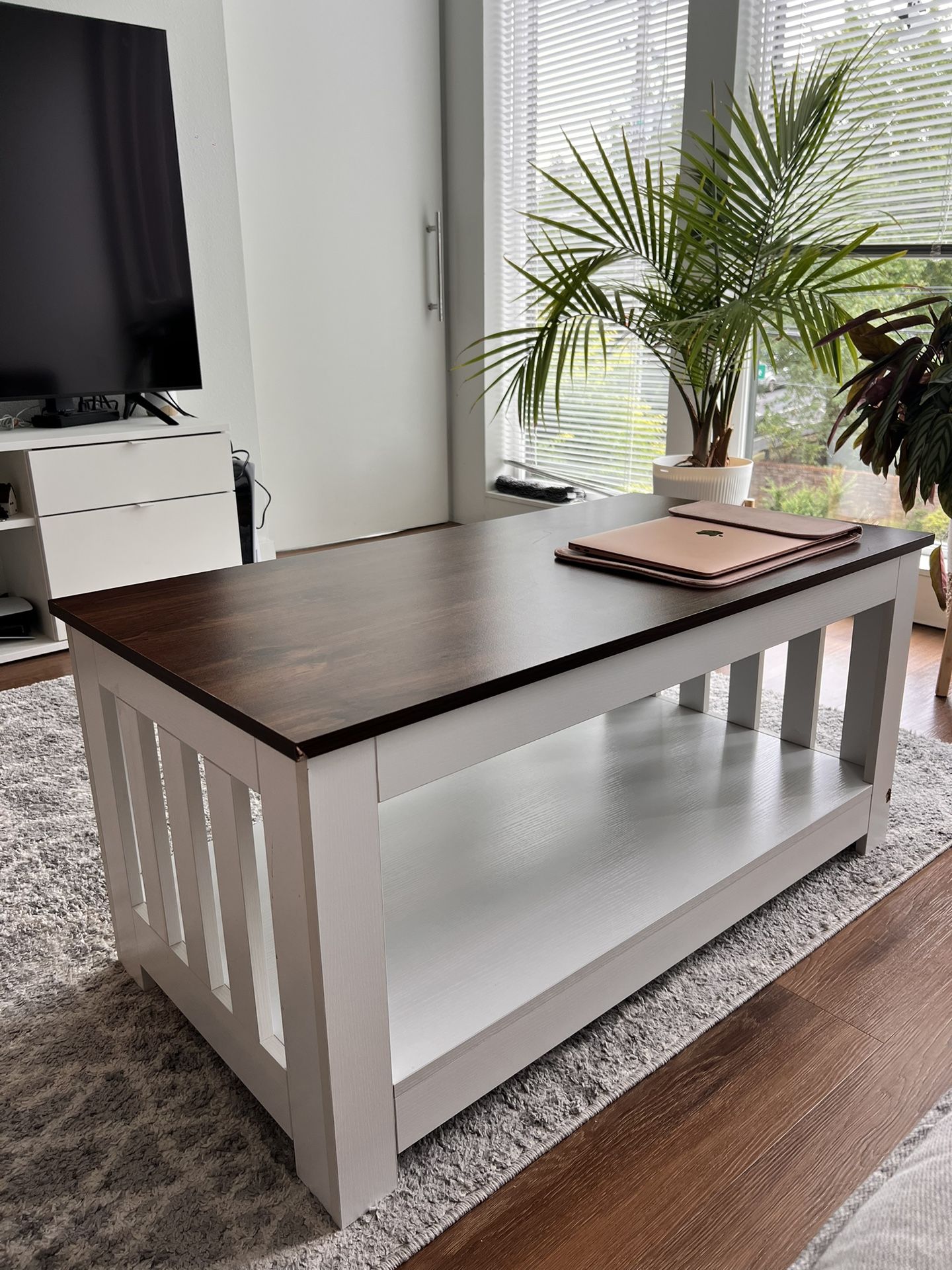 Minimalistic Coffee Table