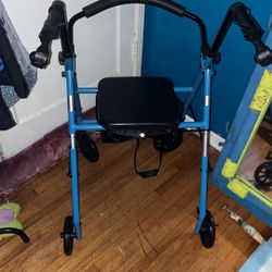 Guardian Walking Chair