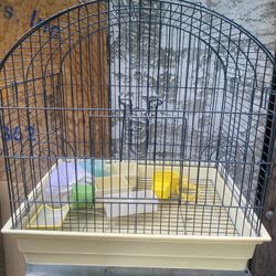 Bird Cage