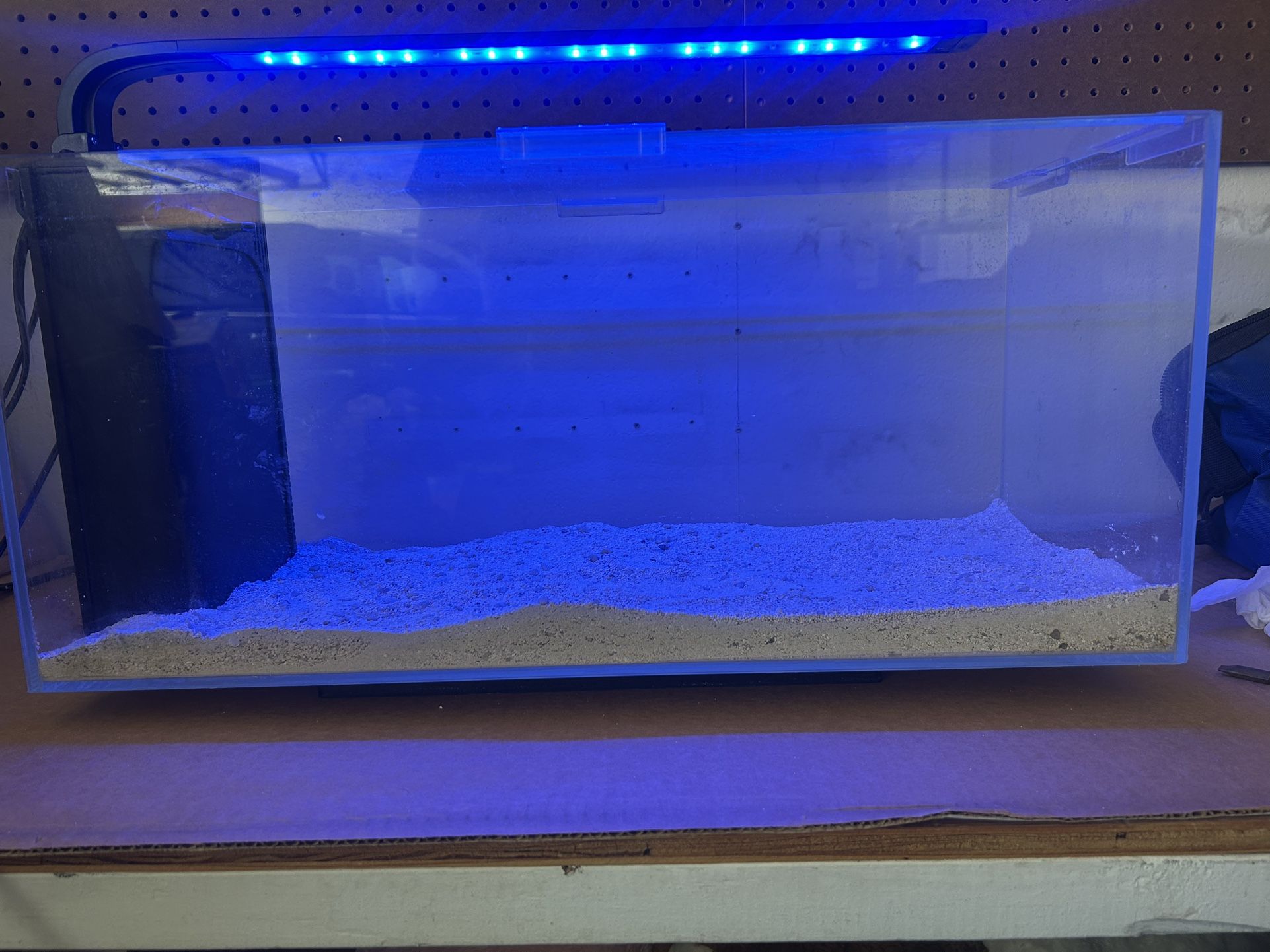 JBJ Rimless Desktop 10 gallon fishtank