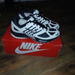 Nikes Air Pegasus 