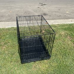 Dog Cage 