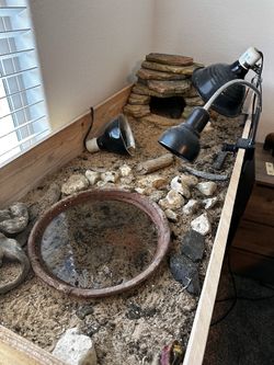 Tortoise Table with Lamps, Cave, Watering Hole
