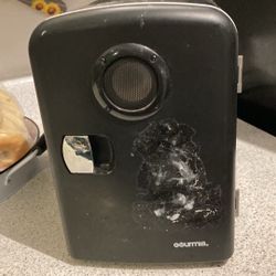 Mini Fridge With Bluetooth Speaker