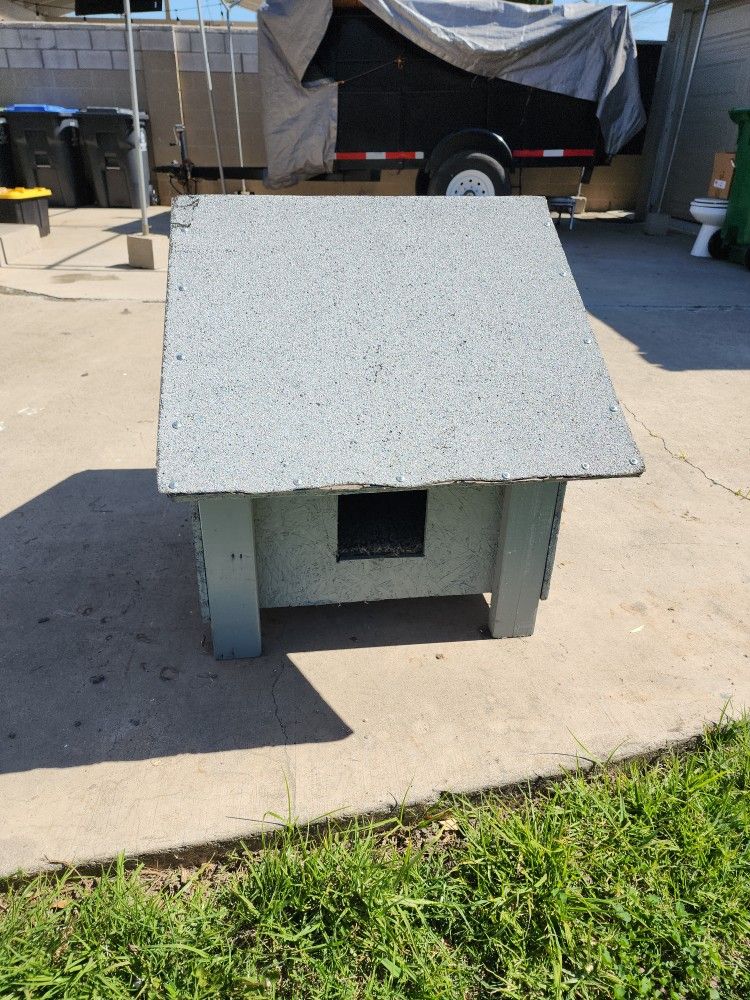 Dog House 