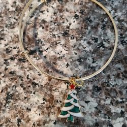 Bracelet Adjustable Size