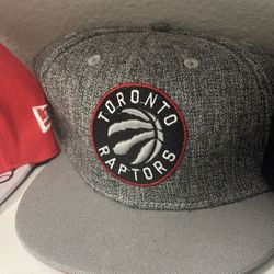 Toronto Raptors Snap Back 