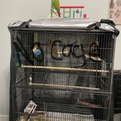 Bird Cage 