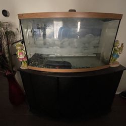 Bow Front Fish Tank And Stand 