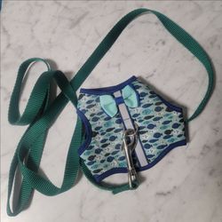 Whisker City Blue/Green Cat Vest and Leash Set
