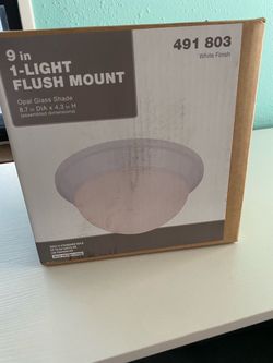 9-Inch 1-Light Flush Mount Ceiling Light