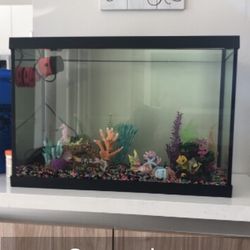 BEAUTIFUL 20 GALLON AQUARIUM with DECORATIONS and MANY EXTRAS. SEE DESCRIPTION BELOW for DETAILS. 