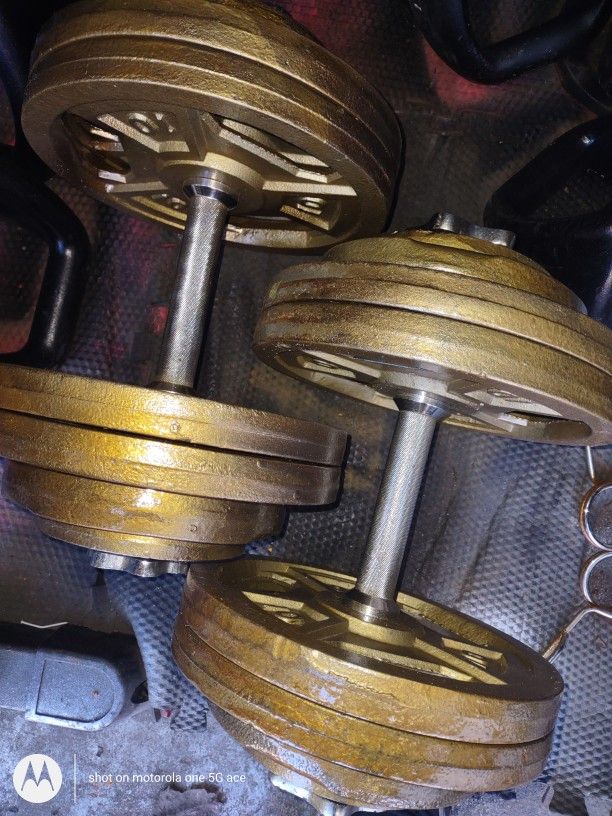 65lb Dumbbells Pair