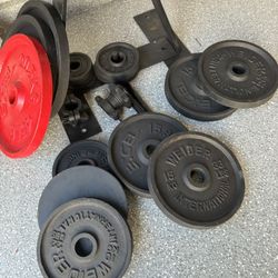WEIGHTS w/ Equipment 