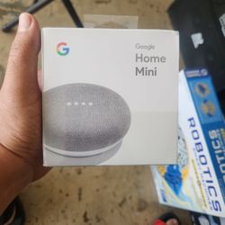 Google home mini