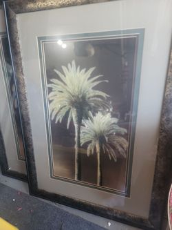 Framed Palm Tree Wall Art Print