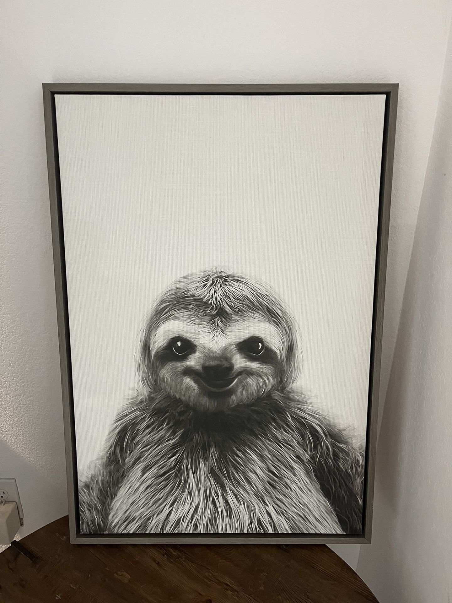 Large sloth Photo