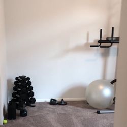 Dumbbells With Rack $100