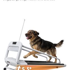 Dog Tread Mill