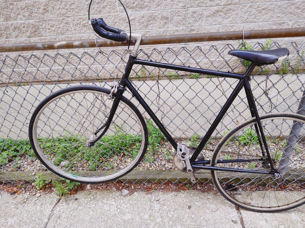 Large Size Raleigh Lightweight Singlespeed Road Bike w/ freewheel