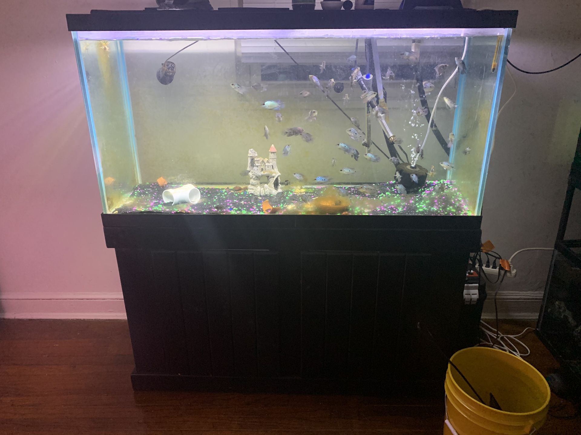 90 gallon fish tank full setup