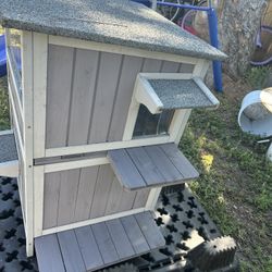 Outside/inside Cat House