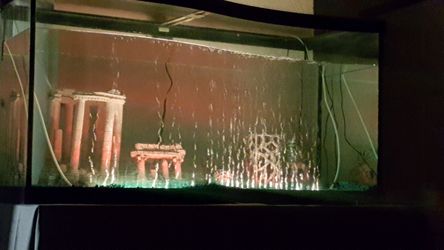 90 gallon fish tank