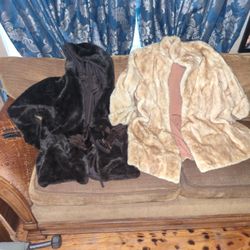 Two Women's Fur Coats