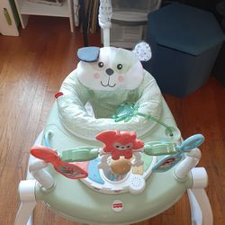 Fisher-Price Baby SpaceSaver Jumperoo

 - Puppy Perfection 
