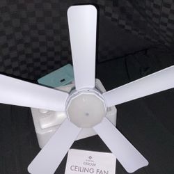 Cascade Ceiling Fan New Never Used.