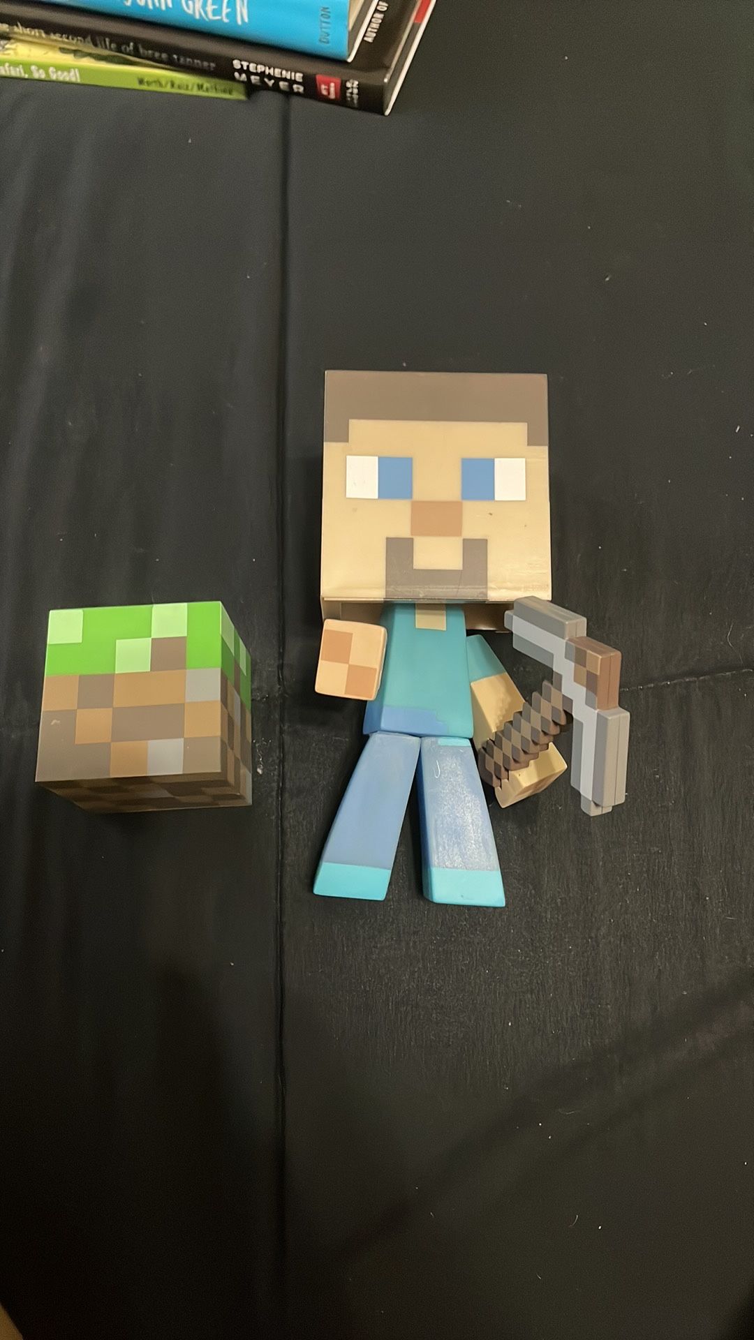 Minecraft Steve W/ Pickaxe And Block