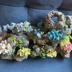 Coral Reef Decor: 