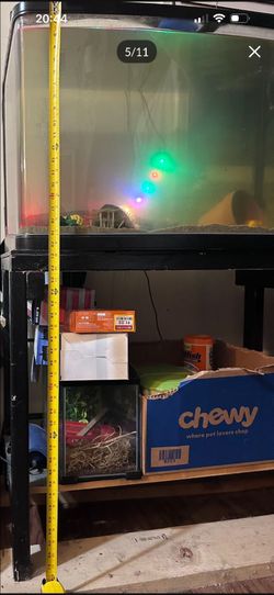 35 gallon curved glass fish tank READ BIO
