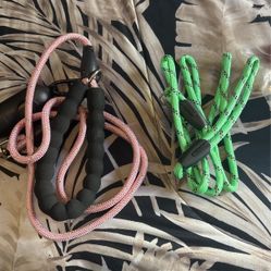 Dog Leash 
