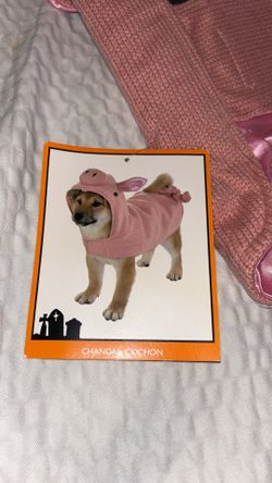 Small Pet Costume