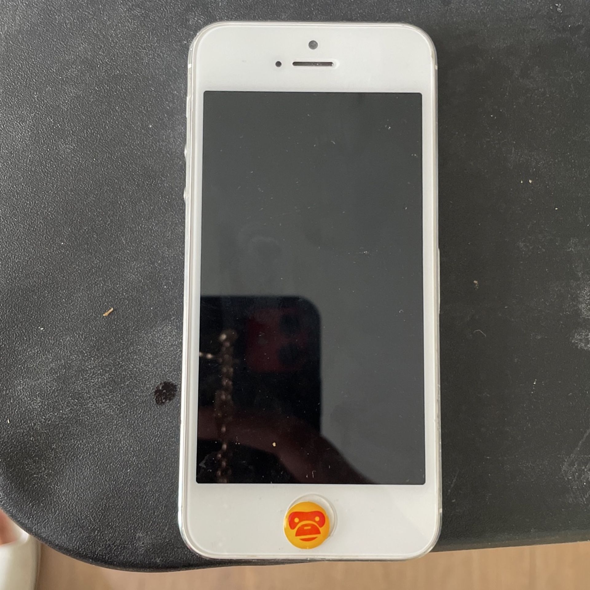 iPhone 5