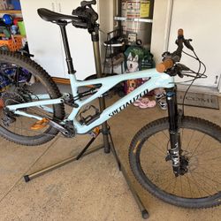 Specialized Stuntjumper Evo Comp
