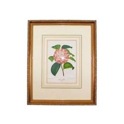 Antique Botanical Chromolithograph Framed Floral Print Vintage Wall Decor