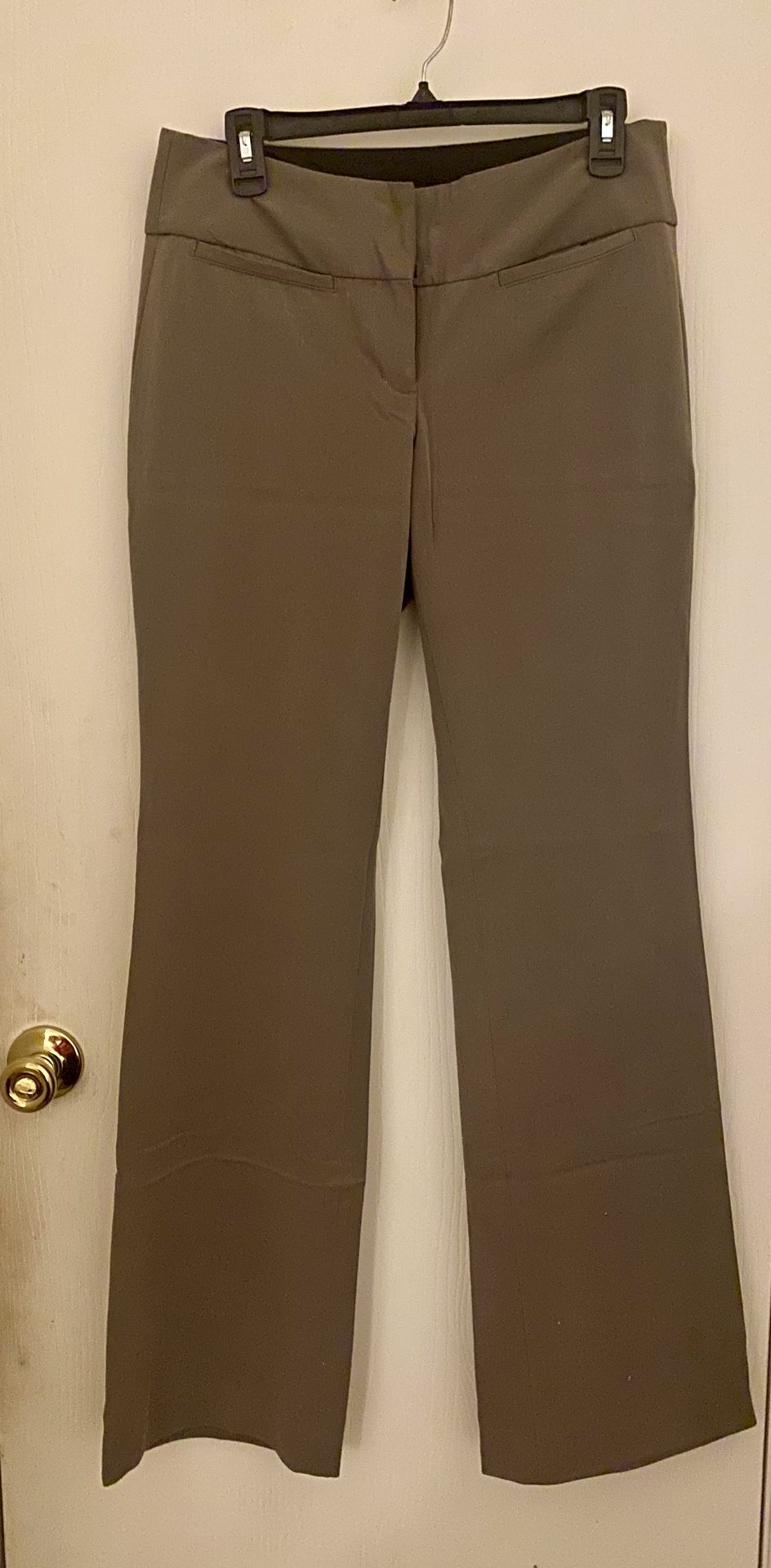 Express Dress Pants