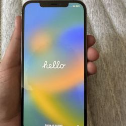 iPhone 12 Pro Max
