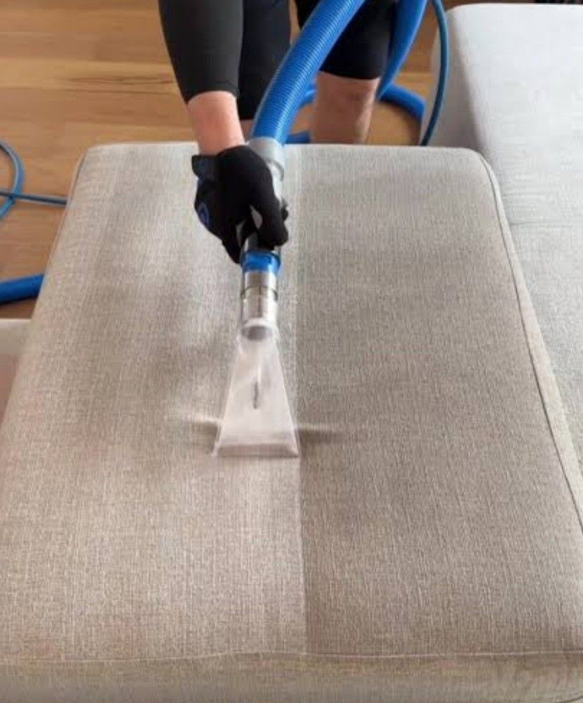 Sofa Couch Steam Clean