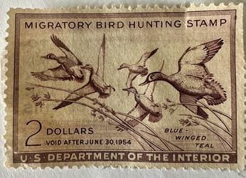 1953 Us Migratory Bird Stamp “Duck Stamp“